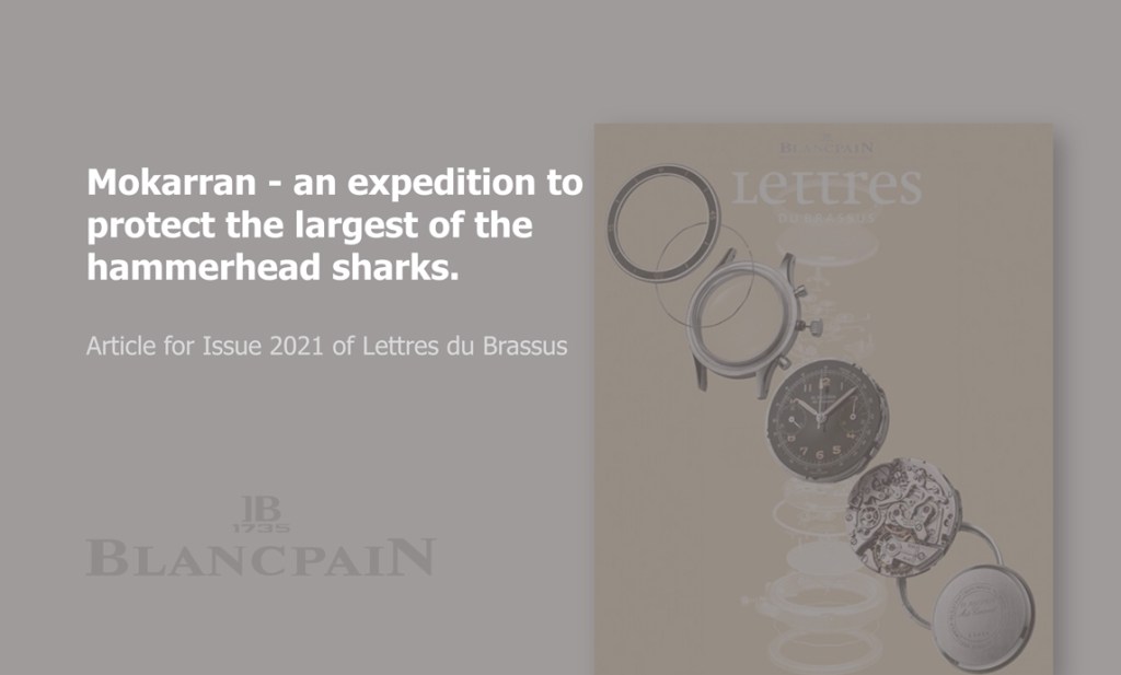 Mokarran – Article for Lettres du Brassus&nbsp;(2021)